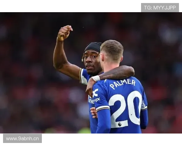 专家解读马杜埃凯密语帕尔默